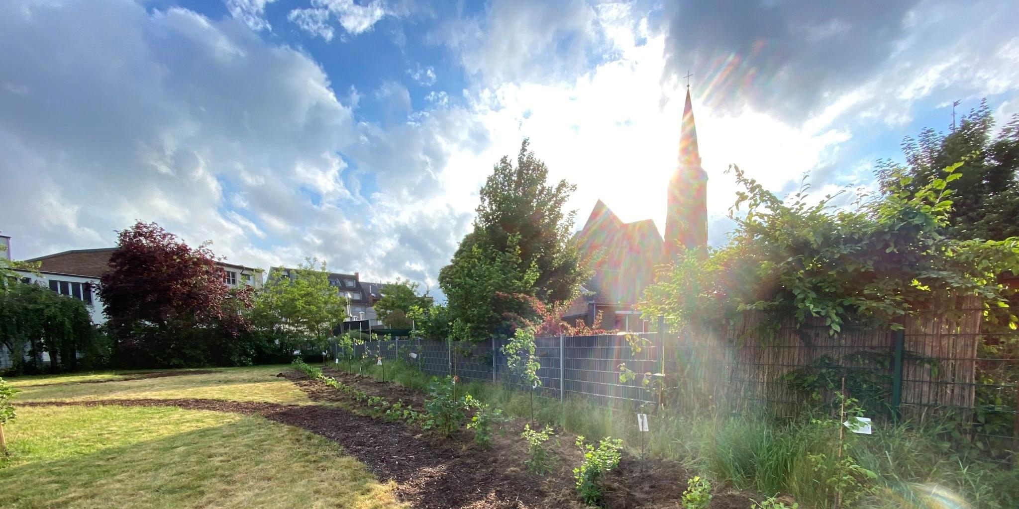 Der Gemeinschaftsgarten in Grevenbroich-Stadtmitte