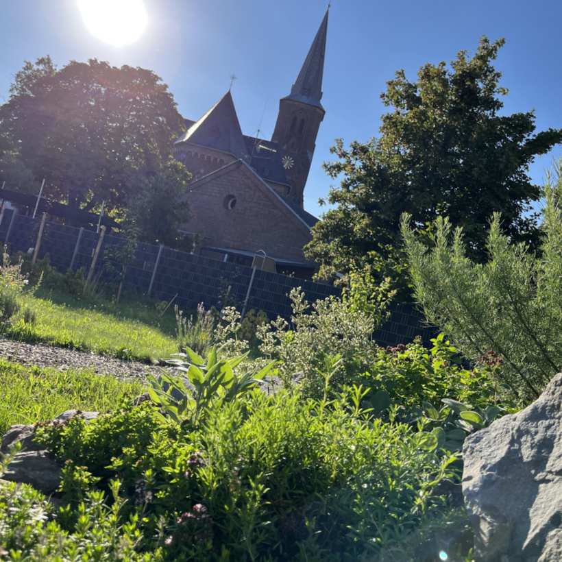 Blick in den Gemeinschaftsgarten im August 2023