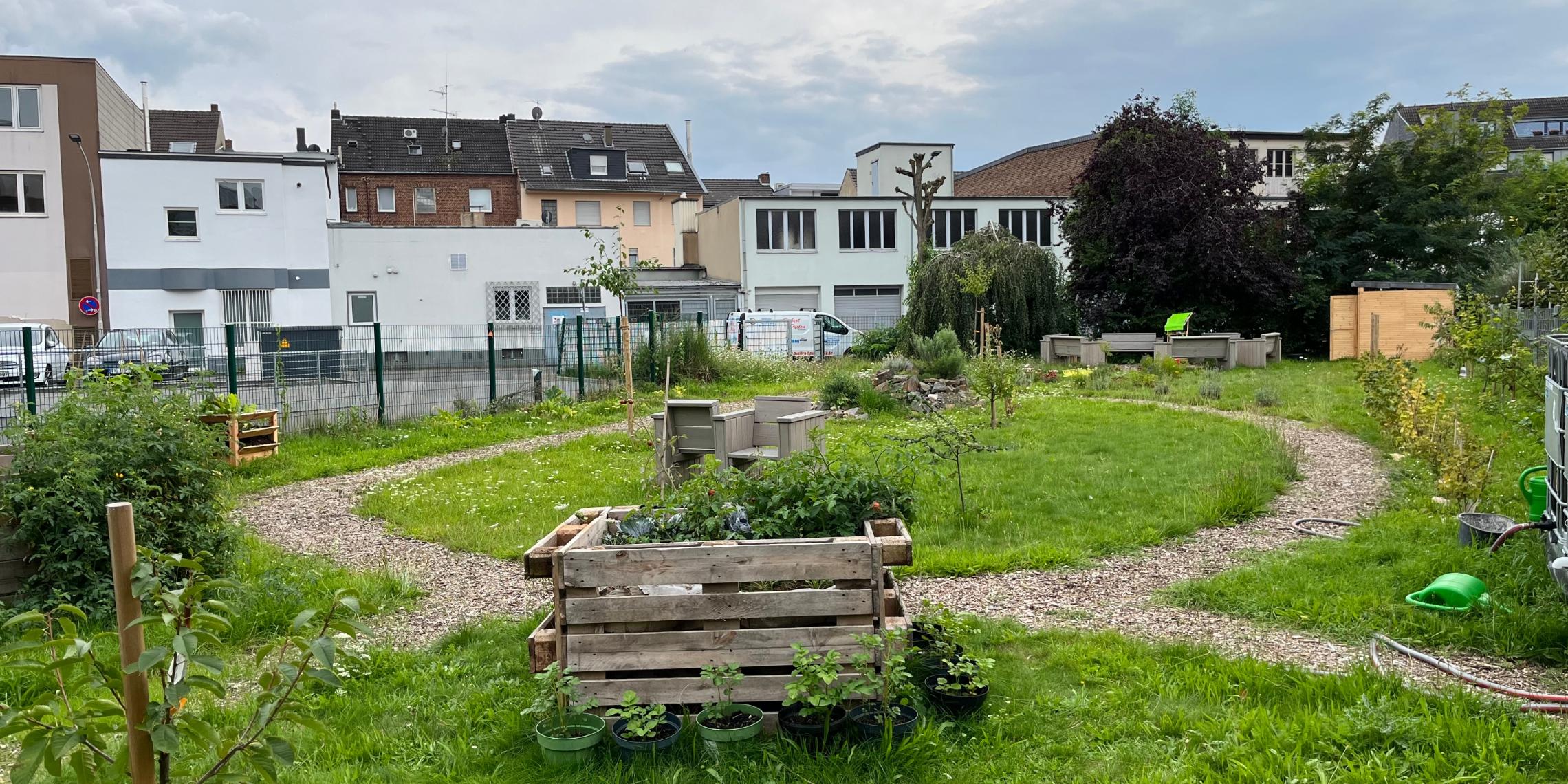 Blick in den Gemeinschaftsgarten im August 2023