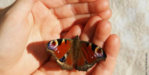 2025 08 14 Plakat webversion