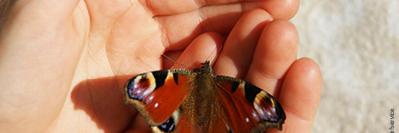 2025 08 14 Plakat webversion