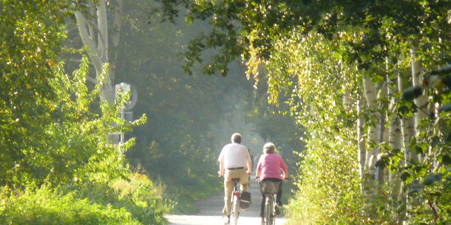 Fahrrad
