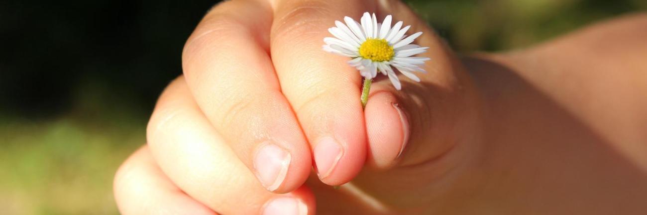 Die Schöpfung bewahren