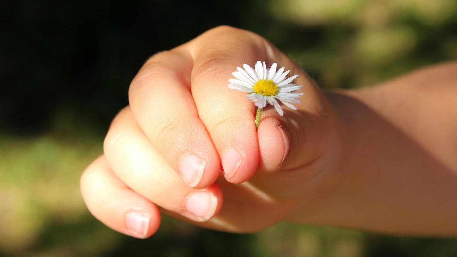 Die Schöpfung bewahren