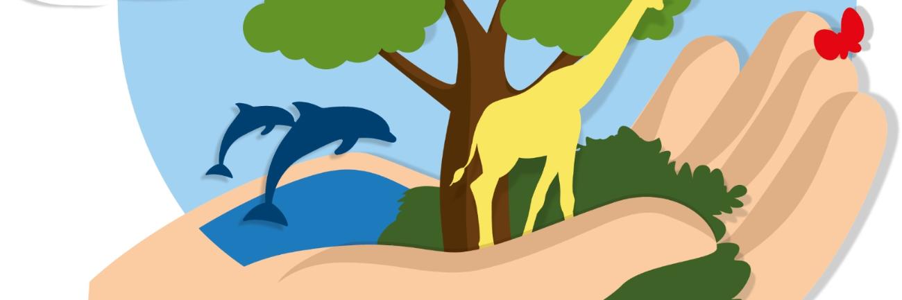 Erlebnis Schöpfung