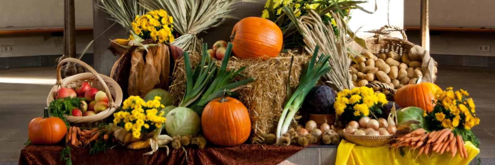 Erntedank, Erntefest, Erntedanksonntag, Gabentisch,   In der römisch-katholischen Kirche ist ein Erntedankfest seit dem 3. Jahrhundert belegt. Da die Ernte je nach Klimazone zu verschiedenen Zeiten eingebracht wird, gab es nie einen einheitlichen Termin. Ex-Bild-DB-ID: 18834