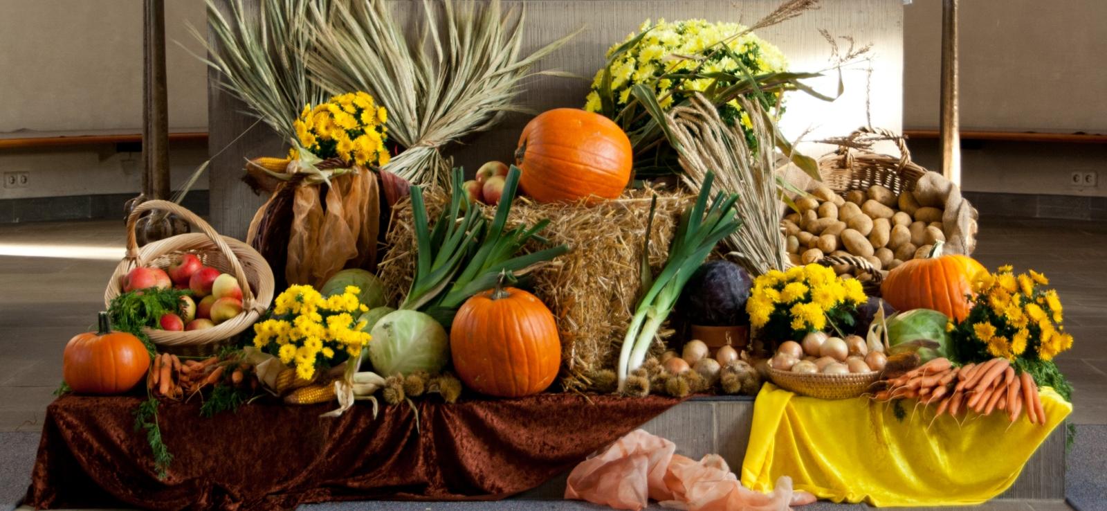 Erntedank, Erntefest, Erntedanksonntag, Gabentisch,   In der römisch-katholischen Kirche ist ein Erntedankfest seit dem 3. Jahrhundert belegt. Da die Ernte je nach Klimazone zu verschiedenen Zeiten eingebracht wird, gab es nie einen einheitlichen Termin. Ex-Bild-DB-ID: 18834