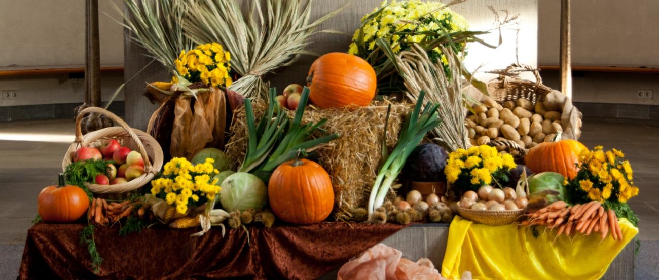 Erntedank, Erntefest, Erntedanksonntag, Gabentisch,   In der römisch-katholischen Kirche ist ein Erntedankfest seit dem 3. Jahrhundert belegt. Da die Ernte je nach Klimazone zu verschiedenen Zeiten eingebracht wird, gab es nie einen einheitlichen Termin. Ex-Bild-DB-ID: 18834