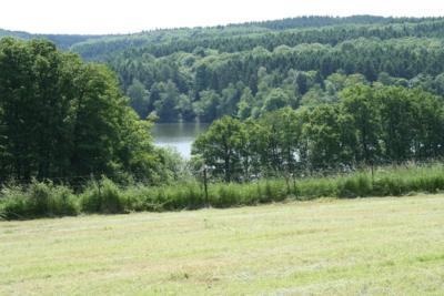 Der Stausee ist in den 1930er Jahren zur Brauchwasser-Versorgung der Euskirchener Tuchindustrie gebaut worden. Der im Wald gelegene See ist heute ein beliebtes Naherholungsgebiet. Ex-Bild-DB-ID: 1190