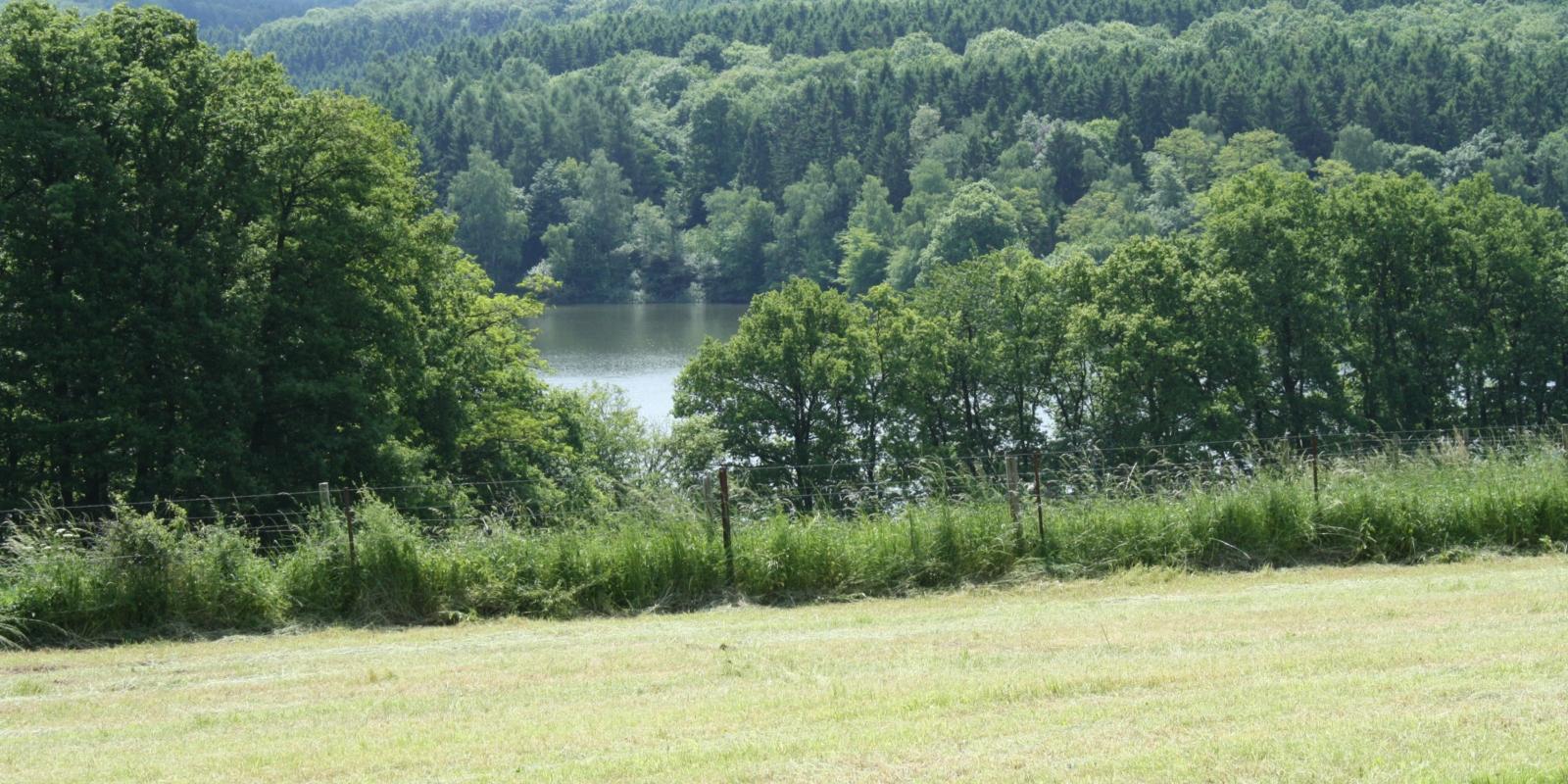 Der Stausee ist in den 1930er Jahren zur Brauchwasser-Versorgung der Euskirchener Tuchindustrie gebaut worden. Der im Wald gelegene See ist heute ein beliebtes Naherholungsgebiet. Ex-Bild-DB-ID: 1190